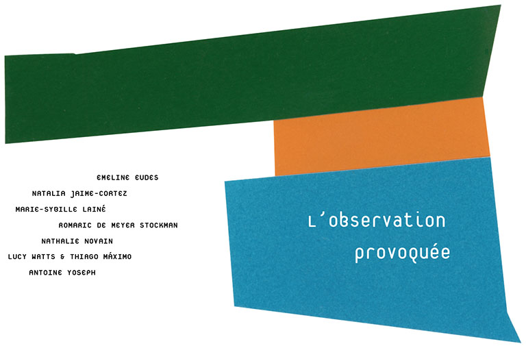 Visuel de Satellite ou l'observation provoquée